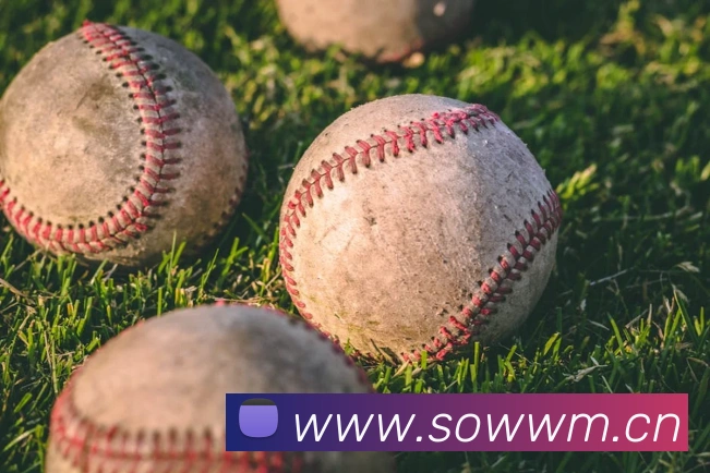 星空体育首页官网APP 体育赛事宣传图